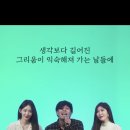 바운더리프리