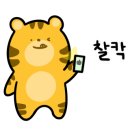 브라우니애견하우스 네이버블로그