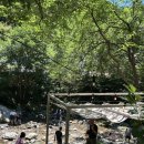 리틀포레짐 | 양평 카페 추천 | 양평 용문 리틀포레 계곡 카페 내돈내산 후기 🌿