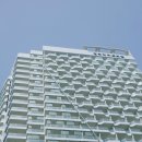 뉴욕종합동물병원 이미지