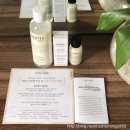 ㈜코리아세븐 개봉학마을점 | 코코넛에센스2주챌린지 / 코코넛에센스 / 퓨리티에센스 / 필로소피 / 퍼스트에센스 / 에센스추천