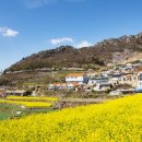 남해-117 이미지