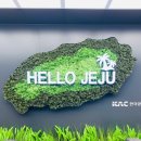 스테이세연