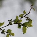 현동정류소 | [남파랑길] 제10구간(진동-배둔리) 트레킹후기--- 2019년 4월 19일(금)