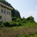 선산대로-33 이미지