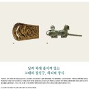 설화장식