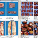 곡성 국립농산물품질관리원 이미지
