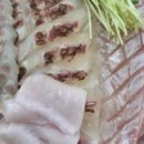 박영철 사시미 이미지