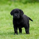 올림푸스원 이미지