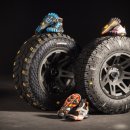 신어타이어 이미지