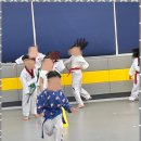 엑스피엘태권도 네이버블로그