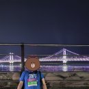 브이플러스진입도로우측면 | [2022 부산 나이트레이스] 부산 나이트레이스 야밤의 광안대교 워킹? 러닝?