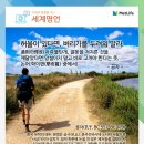 서울교대 사거리 이미지