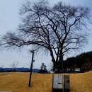 칠백의총 이미지