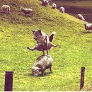 옥이누나 이미지