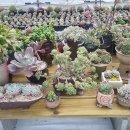 송정농장 이미지