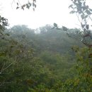 여량초등학교 이미지