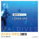볼케이노다이버 | 몰디브 콘스탄스 무푸시 ⑩ :: 3일차, 하우스리프 웰컴다이빙