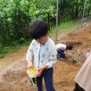 자연숲유치원 이미지