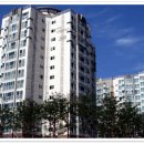 모바일 정보검색 이미지