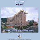 호텔농심 | 부산 호텔 농심 후기 온천 룸 컨디션 최고 부산 추천 숙소