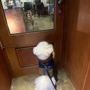 옹심이네살롱 이미지