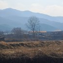 인처골시골밥상
