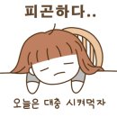 해피테일 이미지