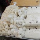 시장떡방앗간 | ::부산여행/구포시장/구포시장맛집:: 제일떡방앗간/못난이꽈배기/이동규통통김밥