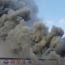 세계로마트 이미지