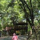 시루봉산성 | 대전 보문산 초보산행 추천 등린이의 시루봉과 보문산성 2시간 코스