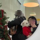 26470-01-21-342 | yozm (요즘) 우리 기록 𝟎𝟏