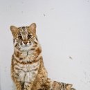 자연으로 이미지