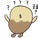 슈가나인케이크