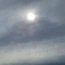 신성대형카 이미지