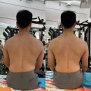 슈브핏 이미지
