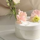 작은케이크 이미지