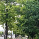 대구광역시선 아양공원 입구 | 지난달 24일 울산에 있는 독립운동가 박상진 의사기념공원에 방문하고 정자해수욕장에도 찾아간 후기