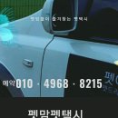 펫아찌펫아씨 네이버블로그