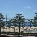 파라스테이 이미지