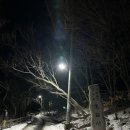 세븐일레븐 신도점 이미지