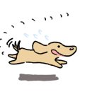 강아지 천국 이미지