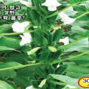 진양원예사 이미지