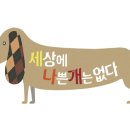 알로하도그 이미지