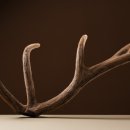 신농씨한의원 이미지