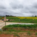 왕성길농장 이미지