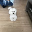로또짱 네이버블로그