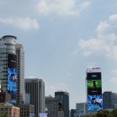 행복을 담은 장바구 | 행복을 찾아서