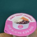 GS25 사직드림점 | GS25 편의점 아이스크림 요아정 파르페 허니요거트 초코볼 맛있당 ㅎ