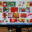 이비농장 이미지